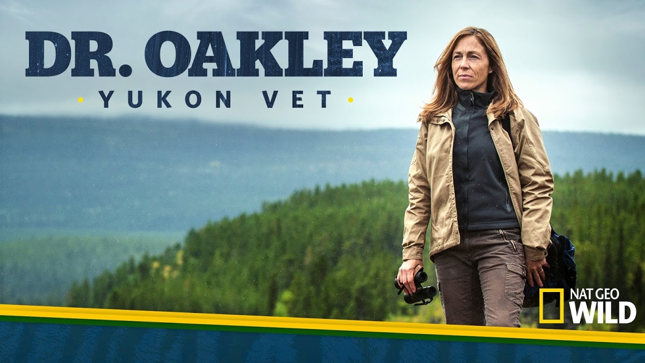 Dr. Oakley, Yukon Vet Season 11 Will Debut on Nat Geo Wild on April 8, 2023